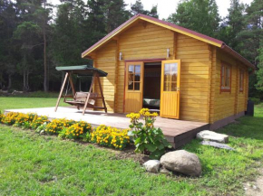 Männiste Holiday Home in Hiievälja
